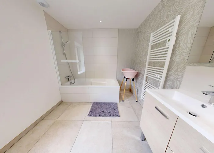 Maison Des Bruyères 25pers Jacuzzi, Billard Baby *